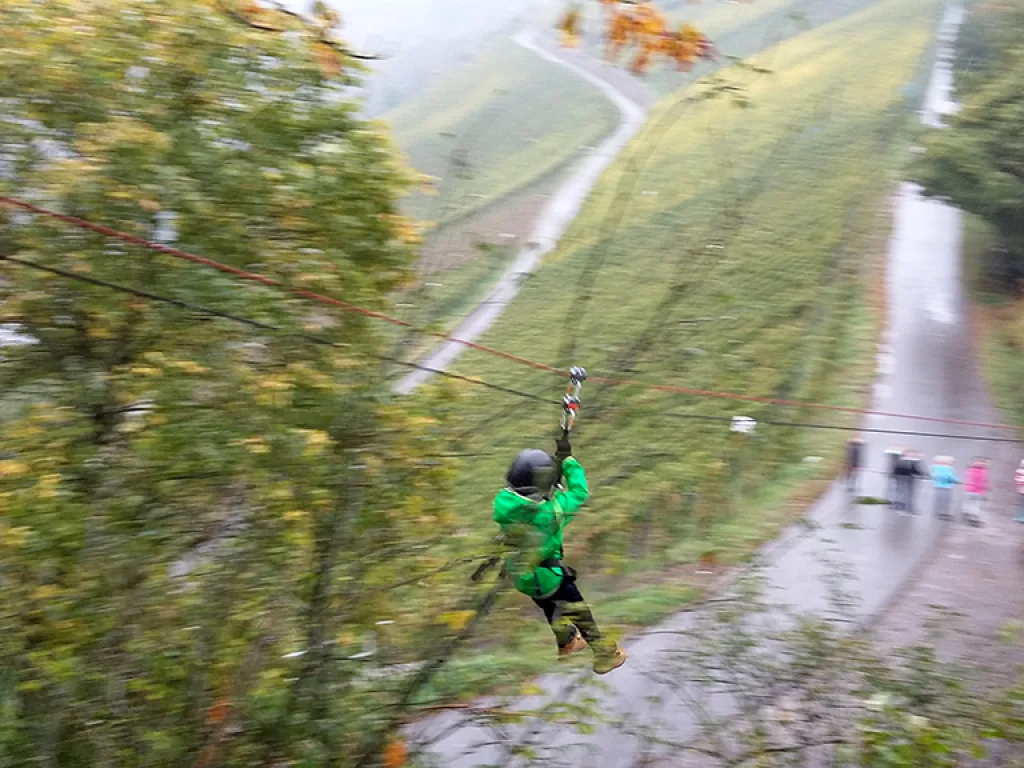 Person saust in grüner Jacke über den Weinberg.